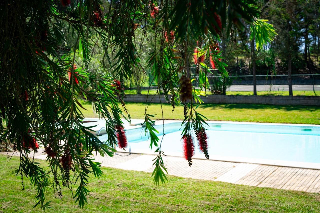 Hotel Rural Quinta Do Juncal Serra d'El-Rei Dış mekan fotoğraf